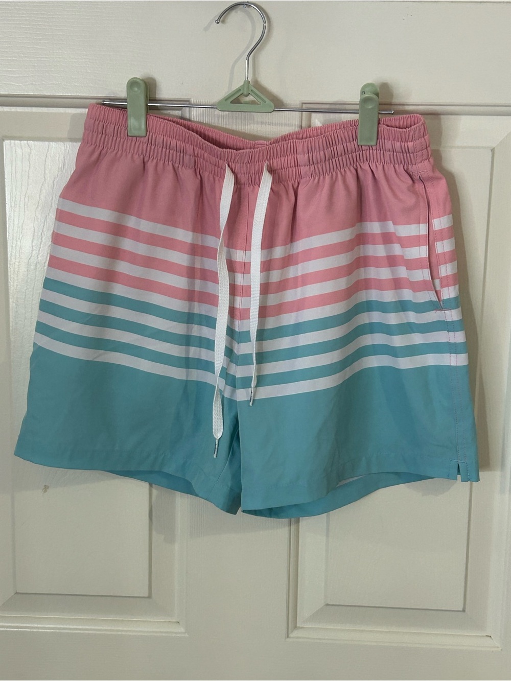 Chubbies On The Horizons 5.5” Swim Trunks With Liner Men’s Medium